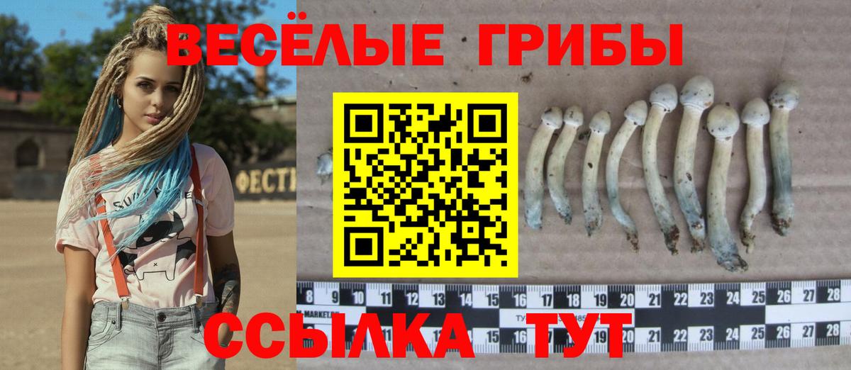 Псилоцибиновые грибы Magic Shrooms  Вход с VPN  Алатырь 