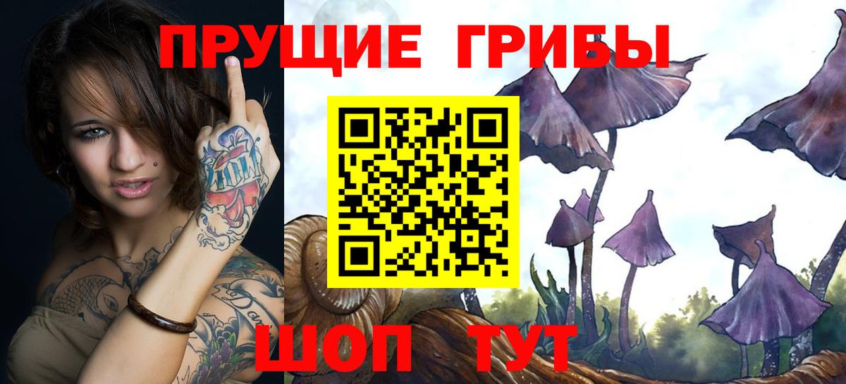 Псилоцибиновые грибы Magic Shrooms Алатырь